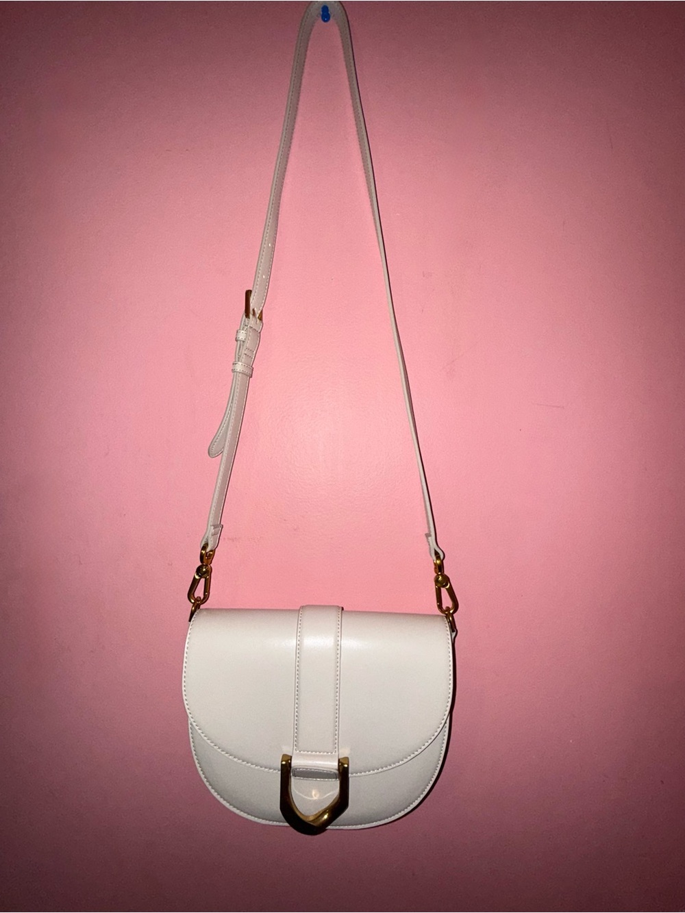 CHARLES & KEITH Gabine Leather Saddle Bag – Oat